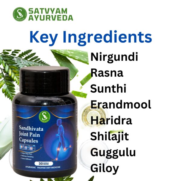 Sandhivata Capsules & NirvanaKaya Joint Ease Oil || Joint Pain Treatment || 30 Cap & 50ml Oil - Image 5